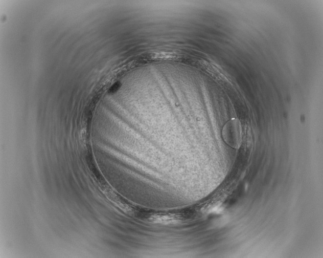 X0000059250557200510281959