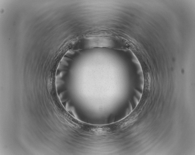 X0000059250558200510281959