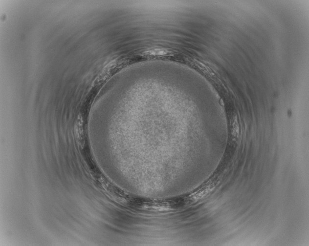 X0000059250559200510281959