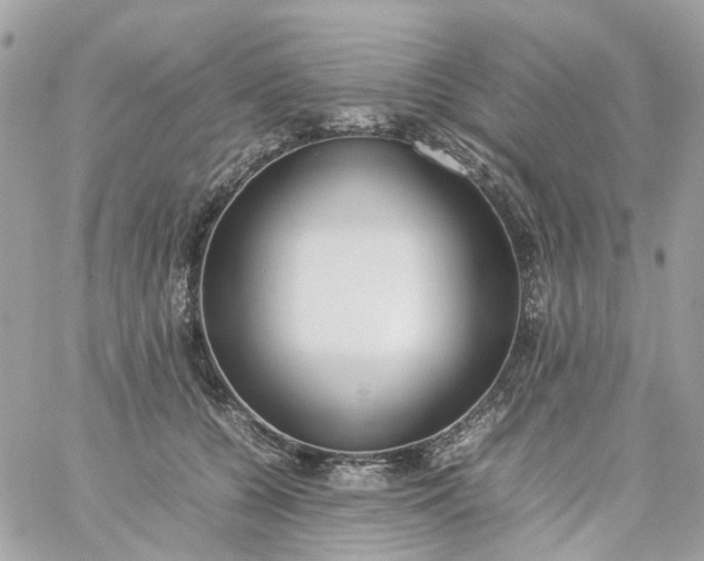 X0000059250560200510281959