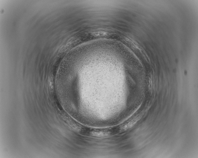 X0000059250561200510281959