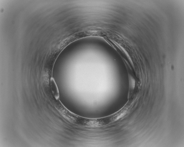 X0000059250562200510281959