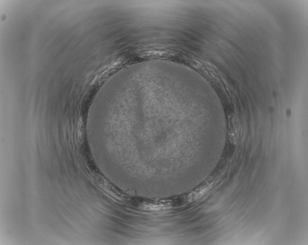 X0000059250563200510281959