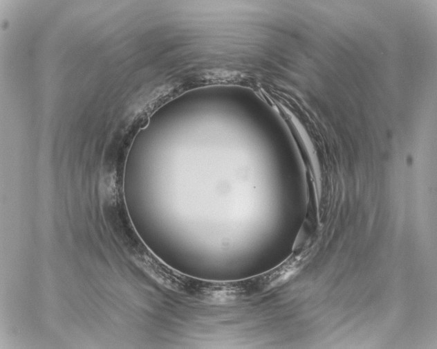 X0000059250564200510281959