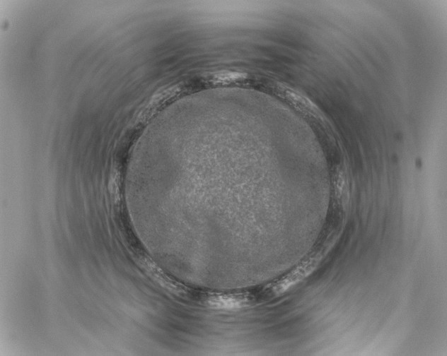 X0000059250565200510281959