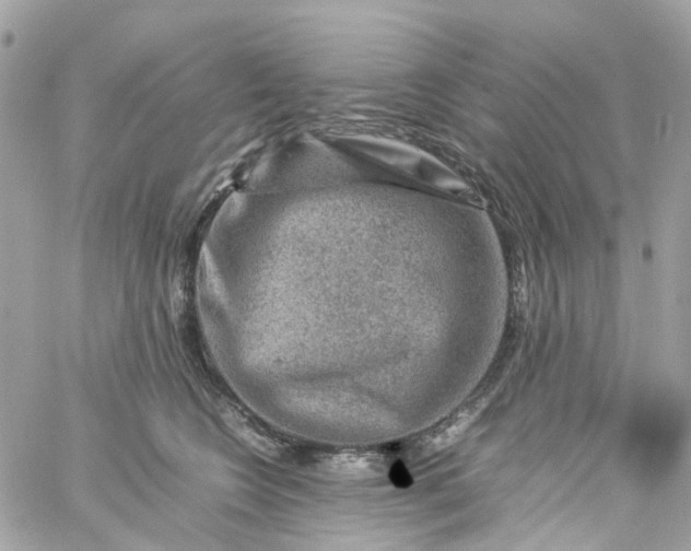 X0000059250566200510281959