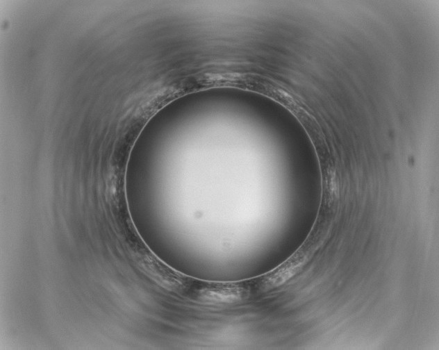 X0000059250567200510281959