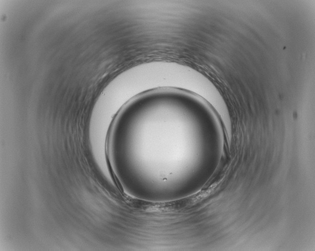 X0000059250568200510281959