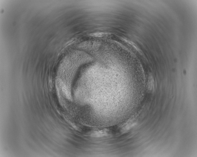 X0000059250569200510281959