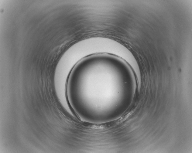 X0000059250570200510281959