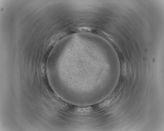 X0000059250571200510281959