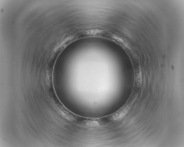 X0000059250572200510281959