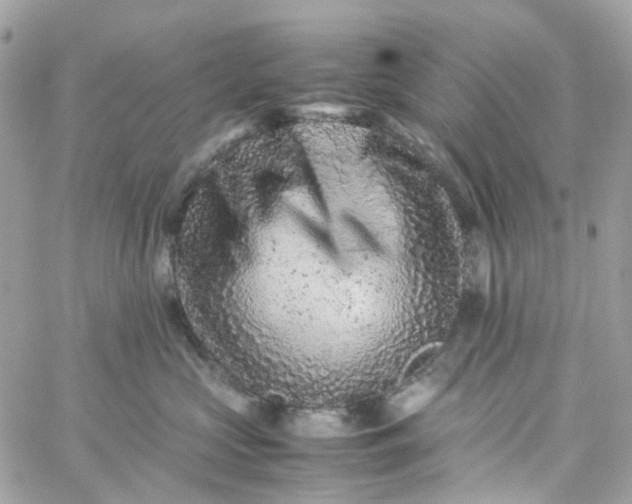 X0000059250573200510281959