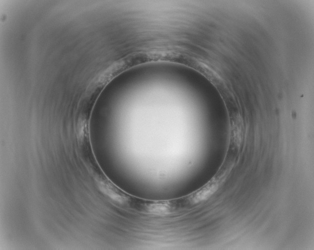 X0000059250574200510281959