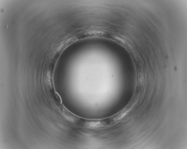 X0000059250575200510281959