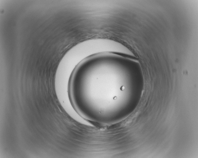 X0000059250576200510281959