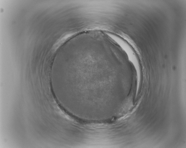 X0000059250577200510281958