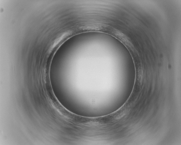 X0000059250578200510281958