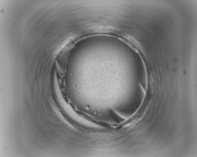 X0000059250581200510281958