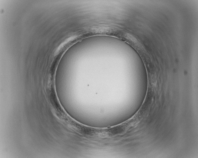 X0000059250583200510281958