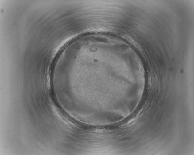 X0000059250584200510281958