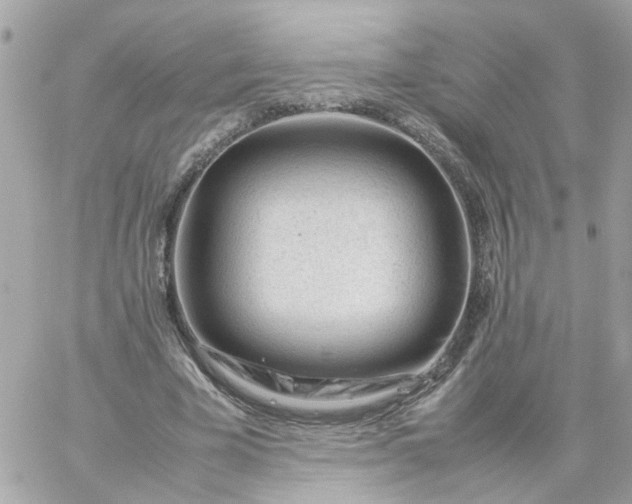 X0000059250585200510281958