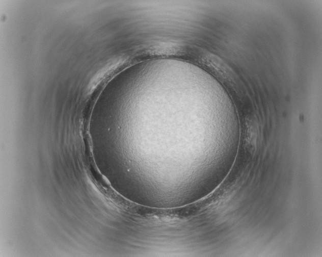 X0000059250586200510281958