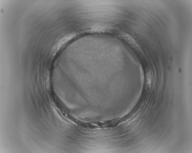 X0000059250588200510281958