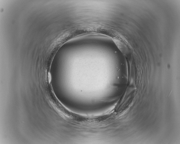 X0000059250589200510281958