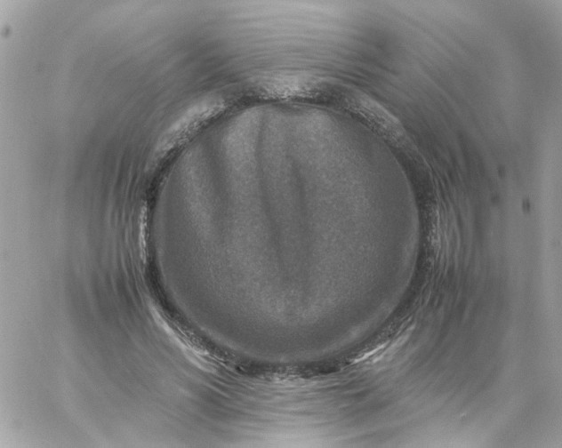 X0000059250590200510281958