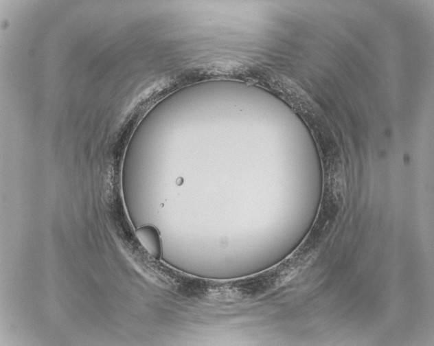 X0000059250591200510281958