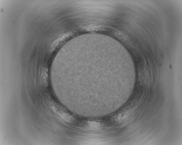 X0000059250592200510281958