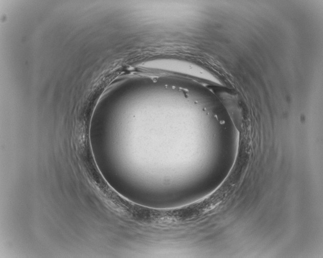 X0000059250593200510281958