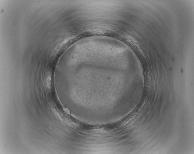 X0000059250596200510281958