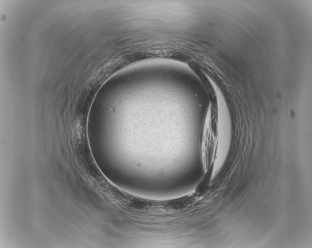 X0000059250597200510281958