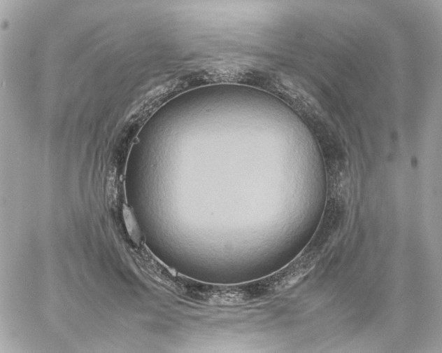 X0000059250599200510281958