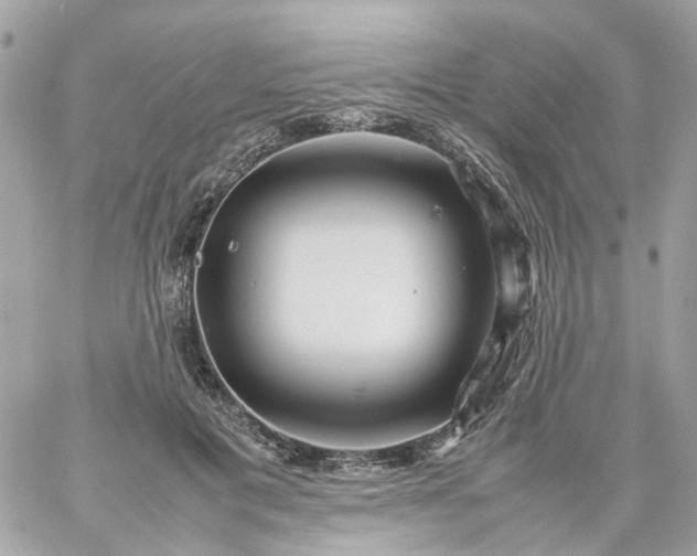 X0000059250601200510281958