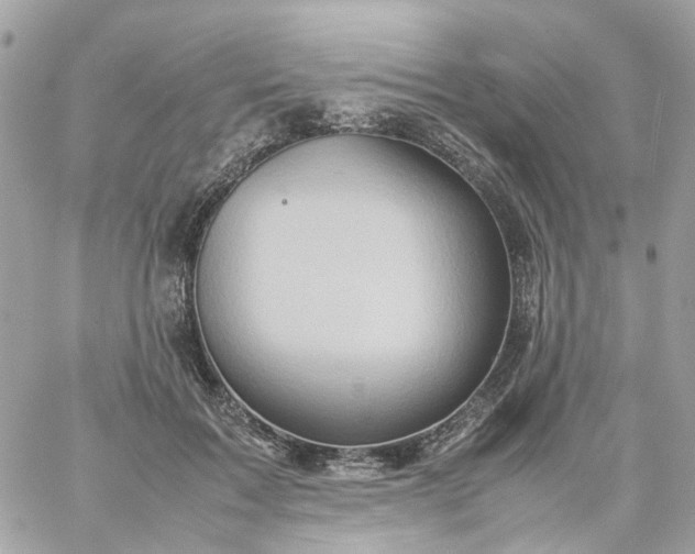 X0000059250603200510281958