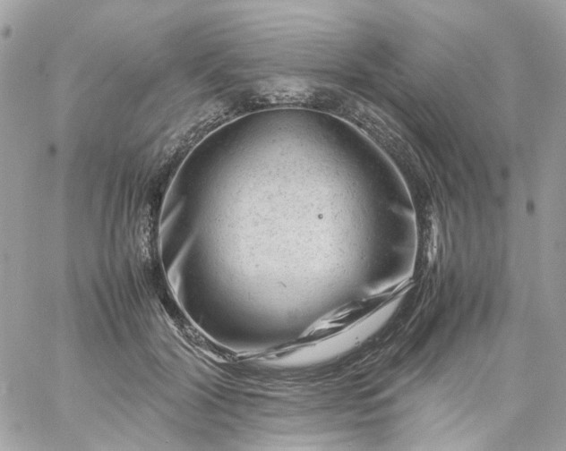 X0000059250604200510281958