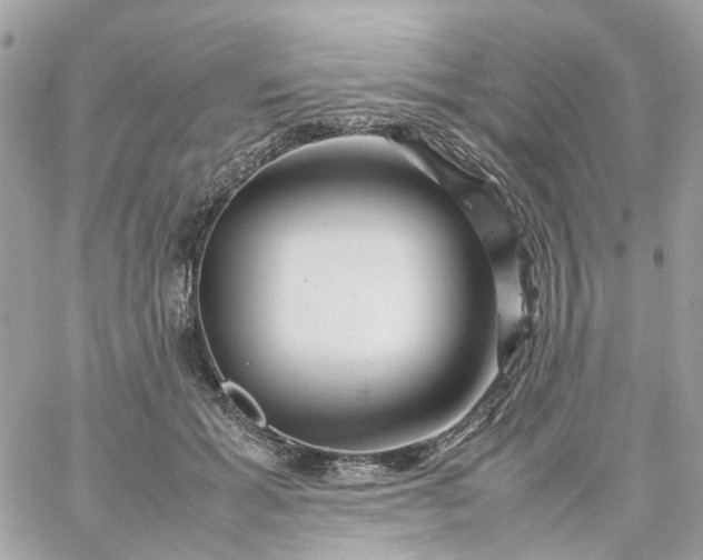 X0000059250605200510281958