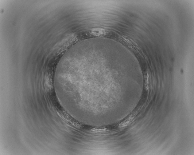 X0000059250606200510281958