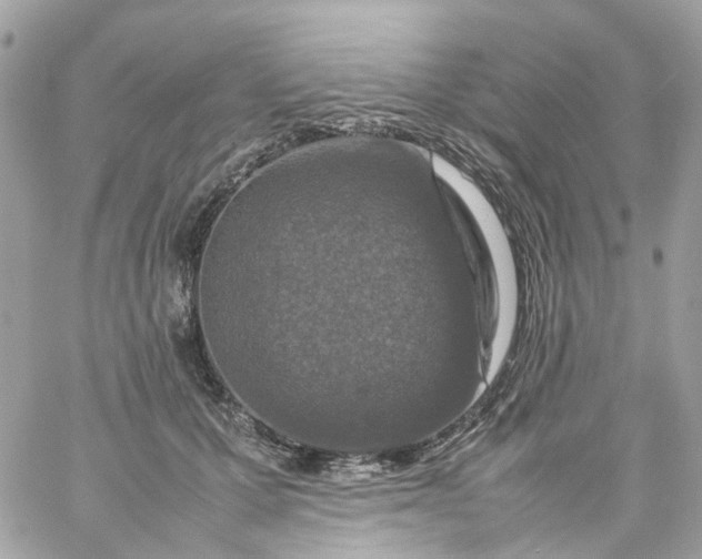 X0000059250607200510281958