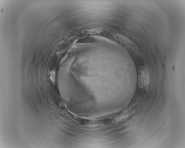 X0000059250608200510281958