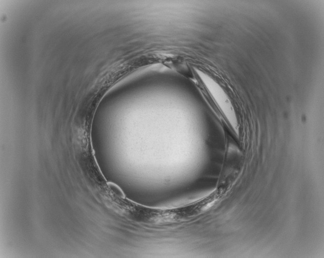 X0000059250609200510281958