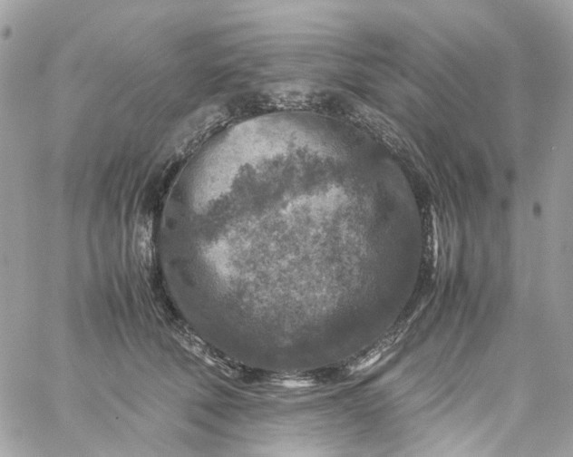 X0000059250610200510281958