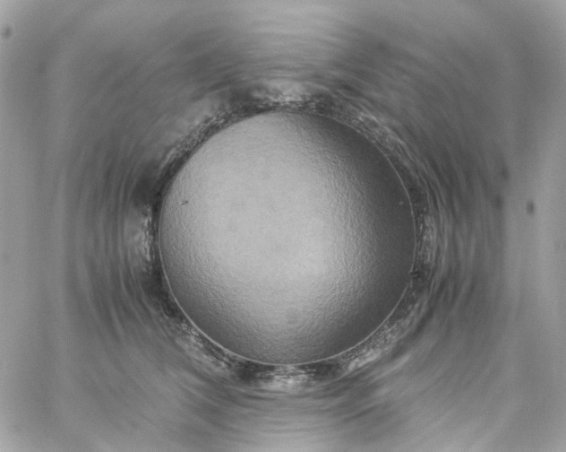 X0000059250612200510281958