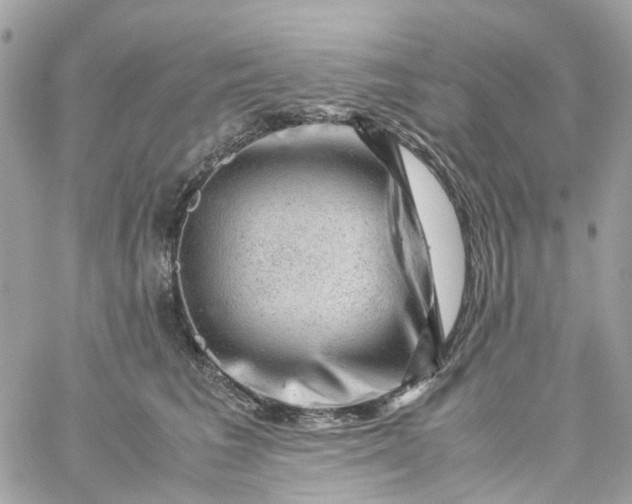 X0000059250613200510281958