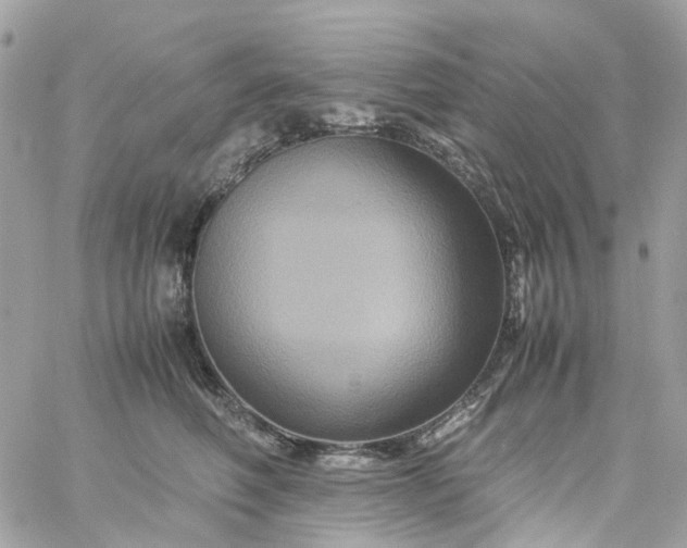 X0000059250614200510281958