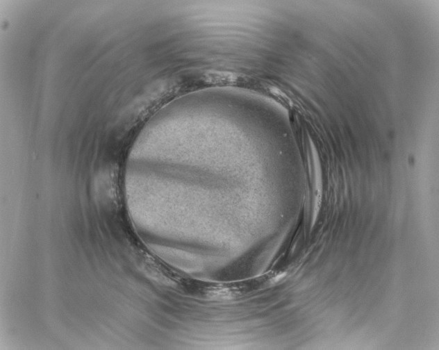 X0000059250616200510281957