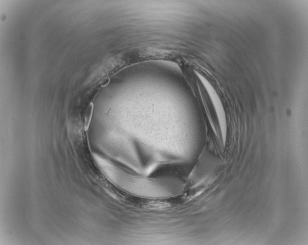 X0000059250617200510281957